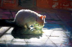 White cat - Green Bowl